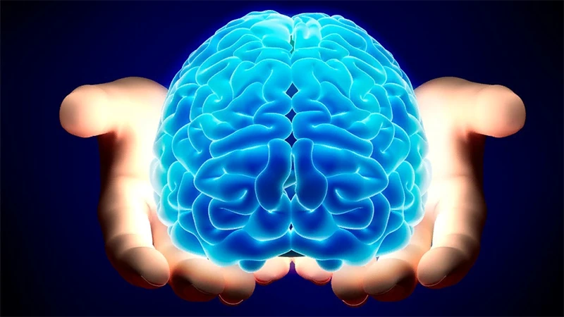 Правда ли, что человеческий мозг работает всего на 10%?